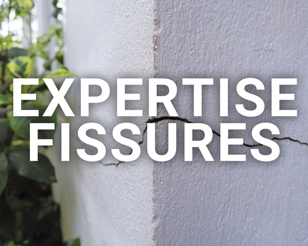 Expertise fissures